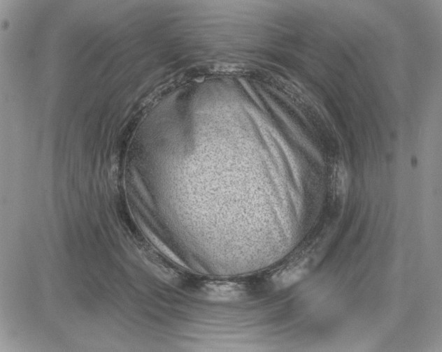 X0000081560557200701291152