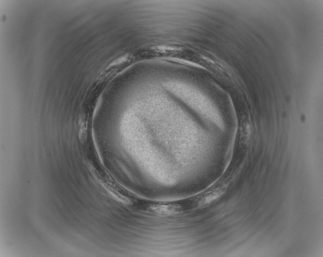 X0000081560558200701291152