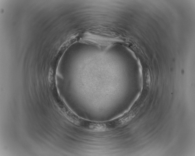 X0000081560559200701291152