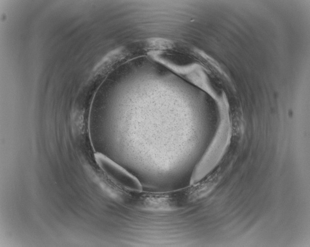 X0000081560560200701291152