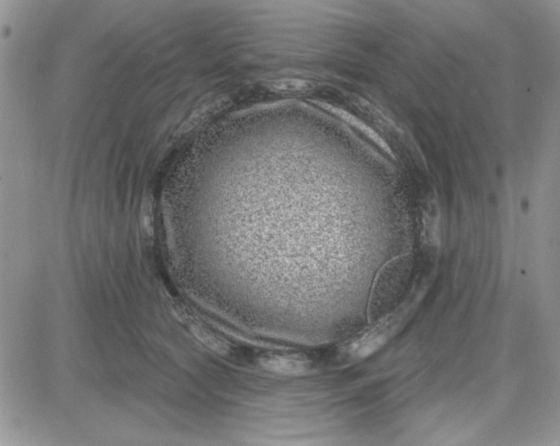 X0000081560561200701291152