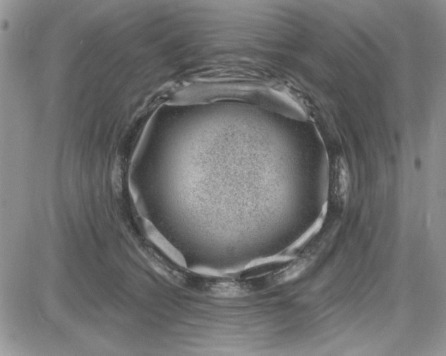 X0000081560562200701291152