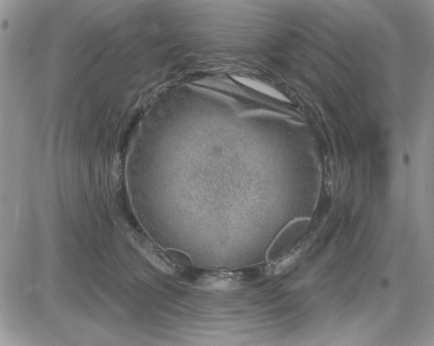 X0000081560563200701291152