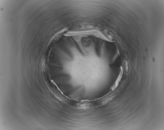 X0000081560564200701291152