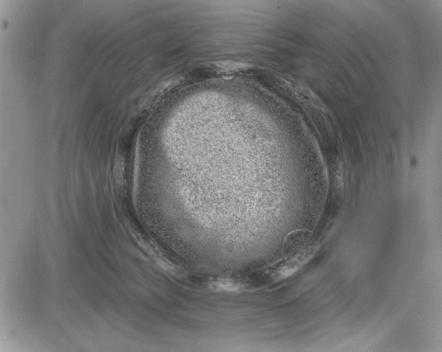 X0000081560565200701291152