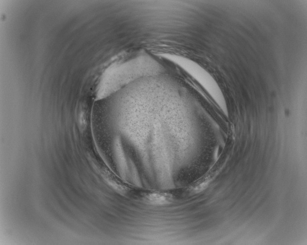 X0000081560566200701291152