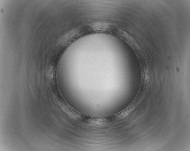 X0000081560567200701291152