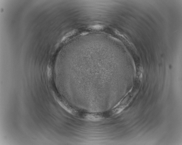 X0000081560568200701291152