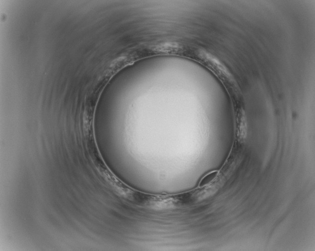 X0000081560569200701291152