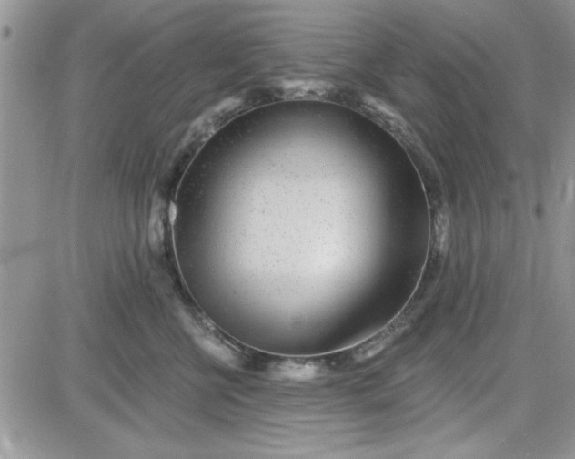 X0000081560570200701291153