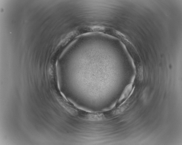 X0000081560571200701291153