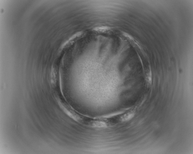 X0000081560572200701291153