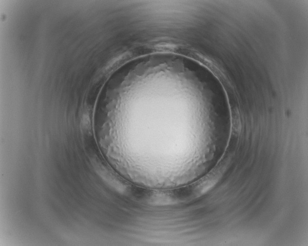 X0000081560573200701291153