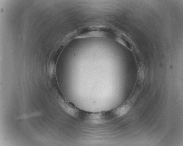 X0000081560574200701291153