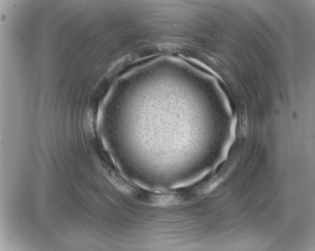 X0000081560575200701291153