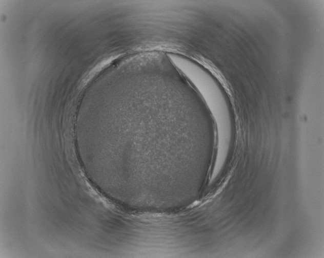 X0000081560577200701291152