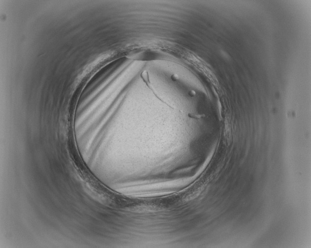 X0000081560578200701291152