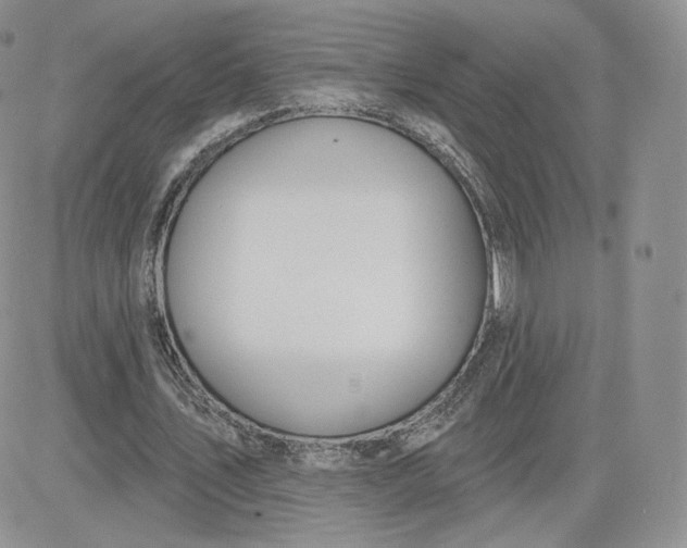 X0000081560579200701291152