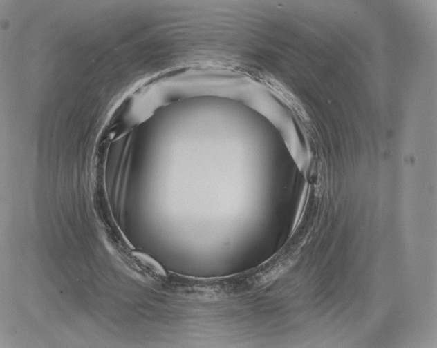 X0000081560580200701291152