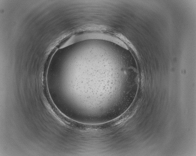 X0000081560581200701291152