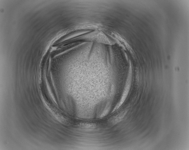 X0000081560582200701291152