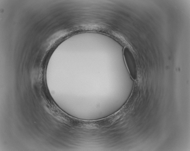 X0000081560583200701291152