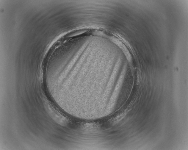 X0000081560584200701291152