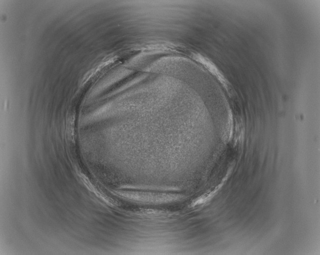 X0000081560585200701291152