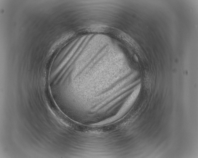 X0000081560586200701291152