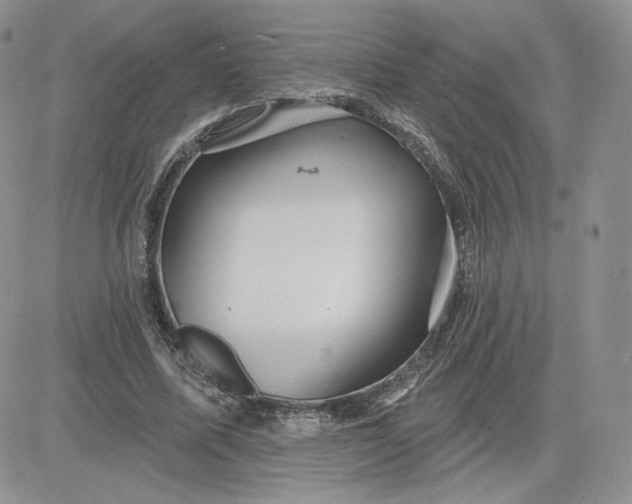 X0000081560587200701291152