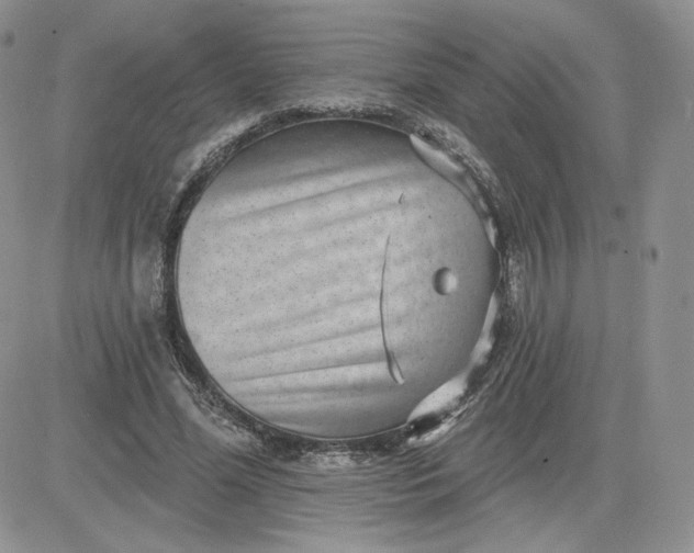 X0000081560588200701291152