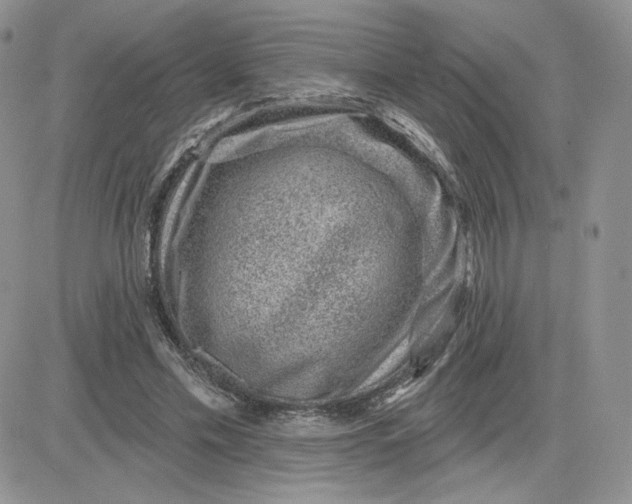 X0000081560589200701291152