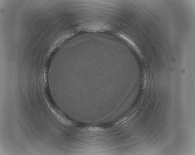 X0000081560590200701291152