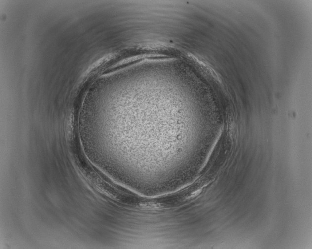 X0000081560591200701291152