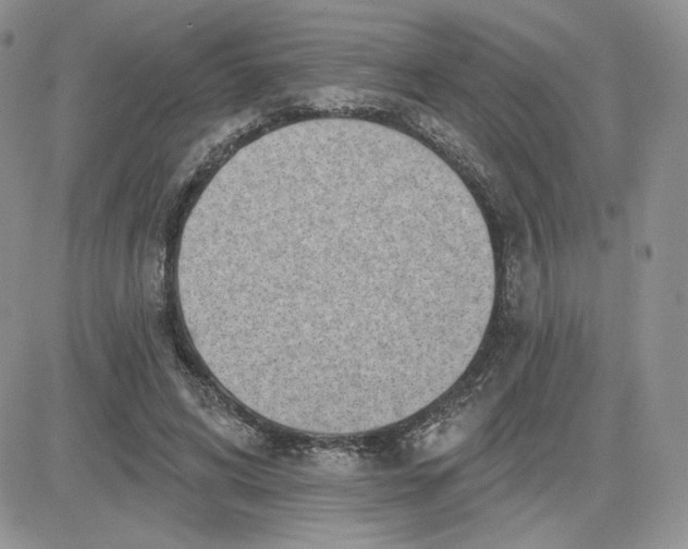 X0000081560592200701291152