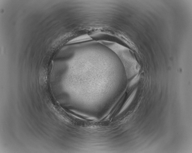 X0000081560593200701291152