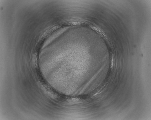 X0000081560594200701291152