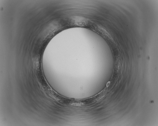 X0000081560595200701291152