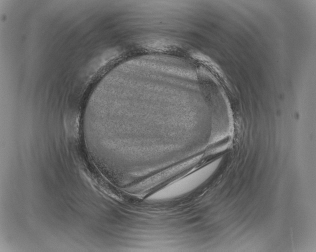 X0000081560596200701291152