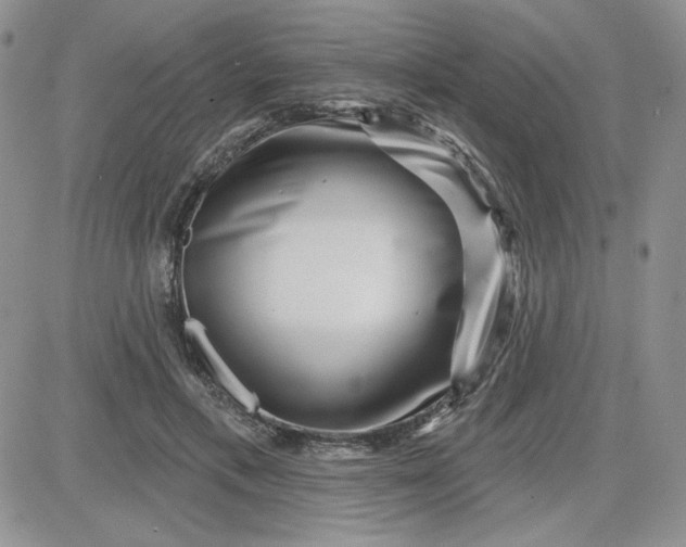 X0000081560597200701291151