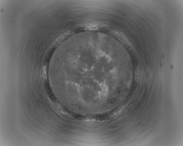 X0000081560598200701291151