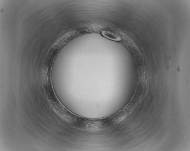 X0000081560599200701291151