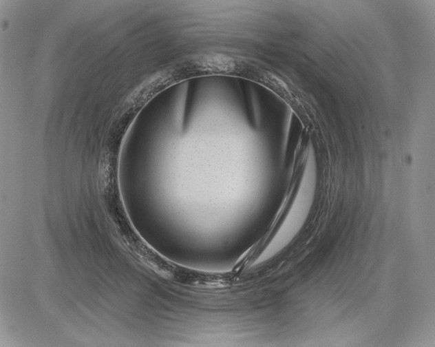 X0000081560600200701291151