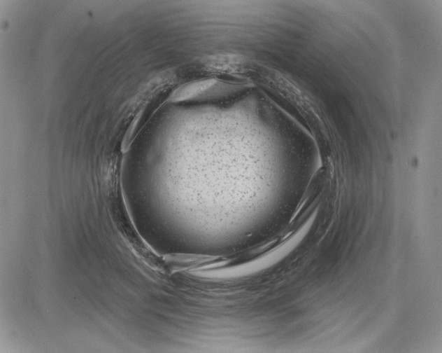 X0000081560601200701291151