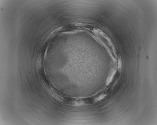 X0000081560604200701291151