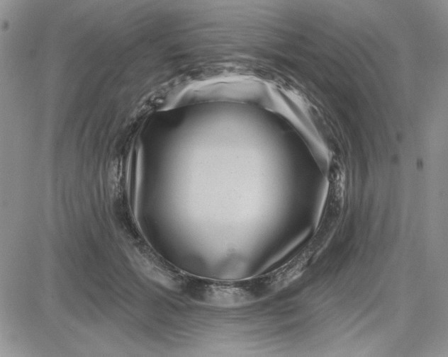 X0000081560605200701291151