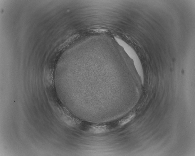 X0000081560606200701291151