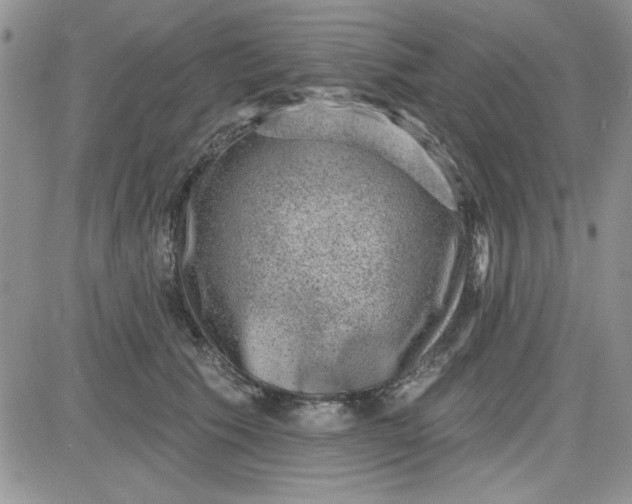 X0000081560609200701291151