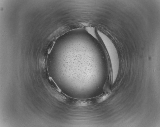 X0000081560613200701291151