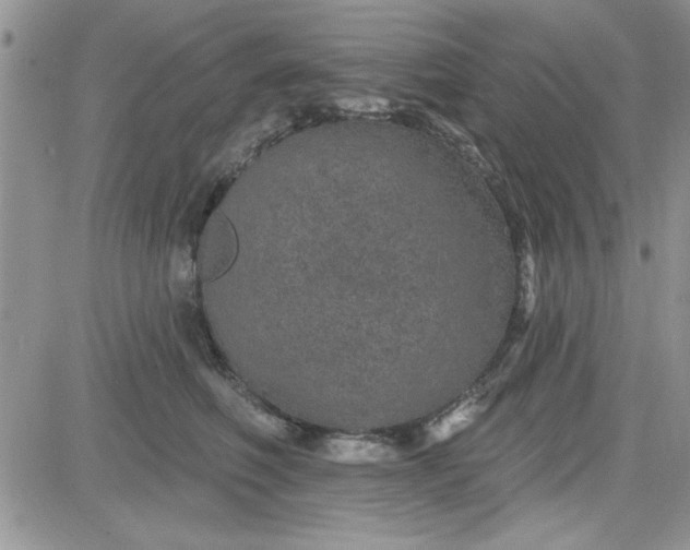 X0000081560614200701291151